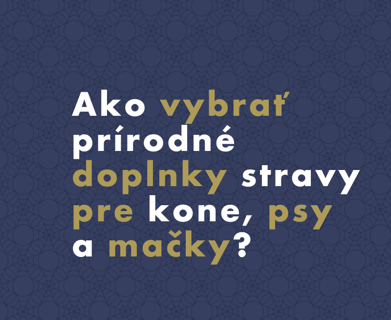 Ako vybrať prírodné doplnky stravy pre kone, psy a mačky?