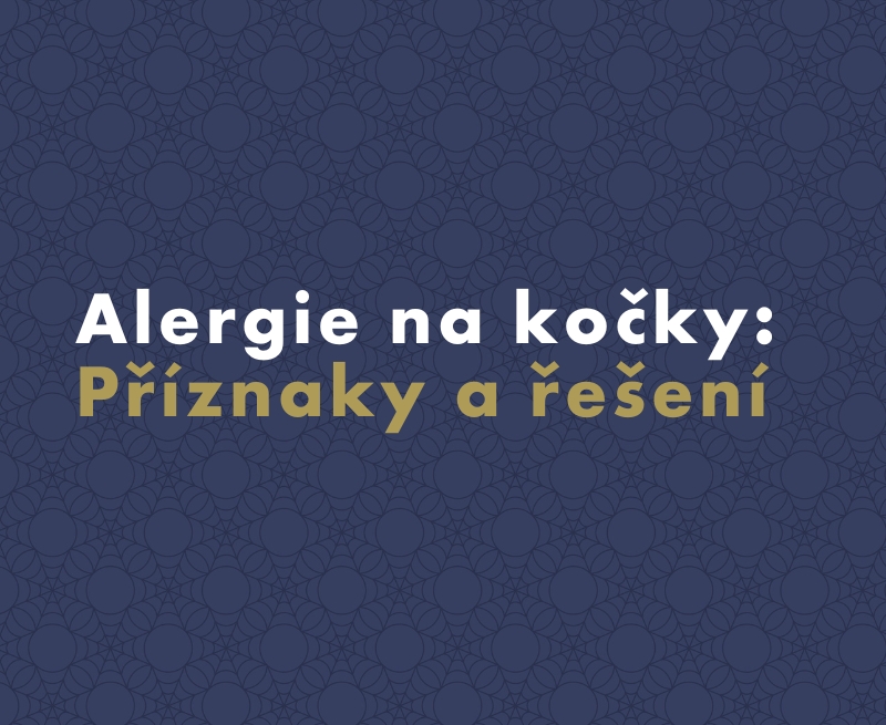 Alergie na kočky: Příznaky a řešení