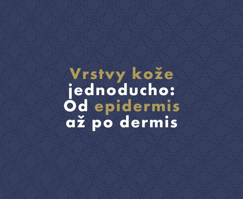 Vrstvy kože jednoducho: Od epidermis až po dermis