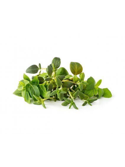 Sada 9 kapsúl pre chytré kvetináče Click & Grow - mix talianskych bylín