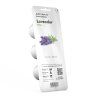 Lavender 3pack whitebg 1200x