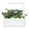 SG3 Red Kale White 1200x1200 bef7fde0 6ae2 418a a006 affb80b99826 1200x
