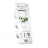 Rosemary 3pack whitebg 1200x